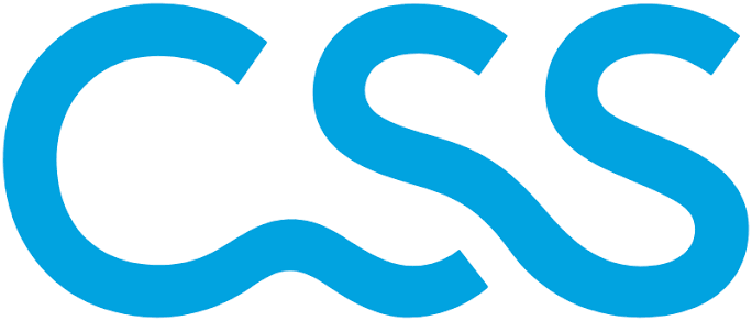 Logo CSS